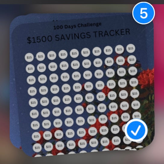 $500-2500 100 day saving challenges
