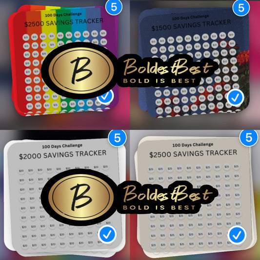 $500-2500 100 day saving challenges